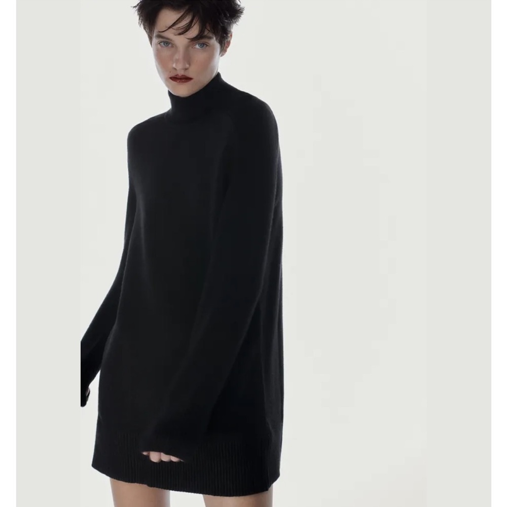 NWT Zara Short Knit Turtleneck Dress